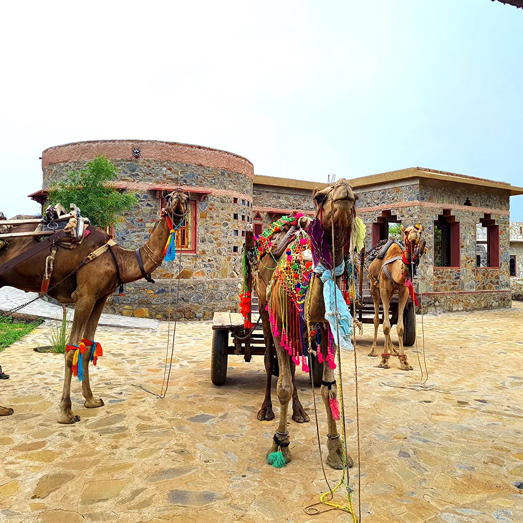Sariska Kasba - A Village Resort - Camel Cart