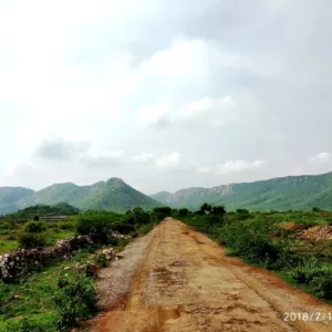 Sariska Kasba - A Village Resort - Entry in Sariska Reserve to Kasba