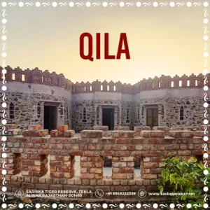 Sariska Kasba - A Village Resort - Quila Room