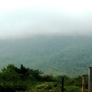 Sariska Kasba - A Village Resort -Misty Kasba