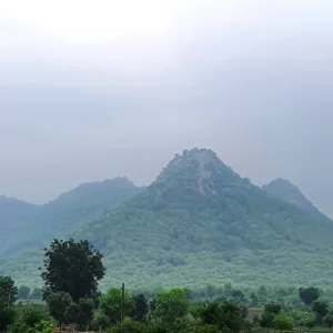 Sariska Kasba - A Village Resort -Misty