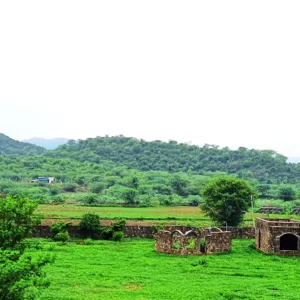 Sariska Kasba - A Village Resort -Geenery