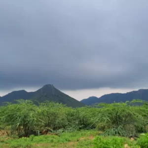 Sariska Kasba - A Village Resort -Kali Ghatain