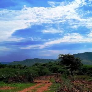 Sariska Kasba - A Village Resort -Magic of Blue Sky