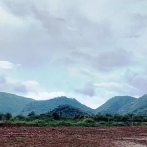 Sariska Kasba - A Village Resort - Green Mountains