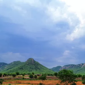 Sariska Kasba - A Village Resort -Feel zero Pollution