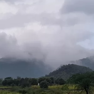 Sariska Kasba - A Village Resort -Touch the Couds