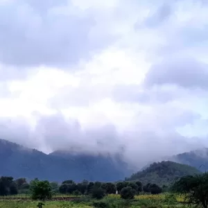 Sariska Kasba - A Village Resort -Embrace the Coluds