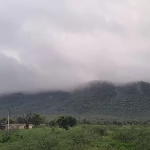 Sariska Kasba - A Village Resort -in the lap of nature