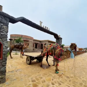 Sariska Kasba - A Village Resort - Camel Cart Village Walk