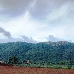 Sariska Kasba - A Village Resort - Lush Green