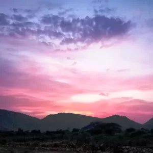 Sariska Kasba - A Village Resort -Northern Lights of Kasba