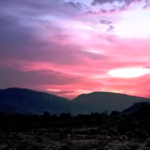 Sariska Kasba - A Village Resort - Northern Lights of Kasba