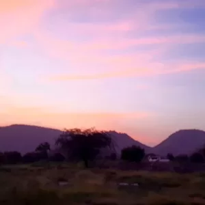 Sariska Kasba - A Village Resort -Beautiful Colours of Nature