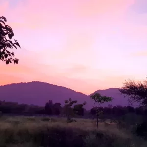 Sariska Kasba - A Village Resort -Romantic Evening