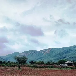 Sariska Kasba - A Village Resort - Green Mountains