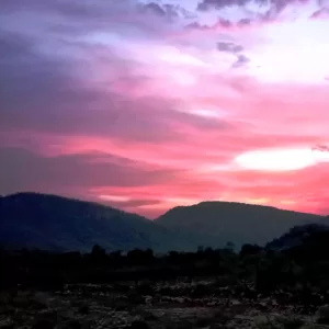 Sariska Kasba - A Village Resort - Mesmerising Colours of Nature