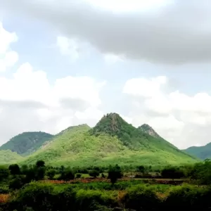 Sariska Kasba - A Village Resort - Nature at its best