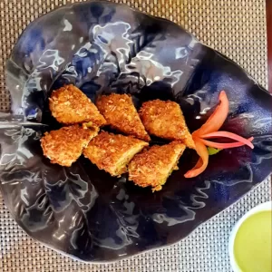 Sariska Kasba - A Village Resort - Taste in Traditional Style